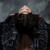 BLACK CROW - PHOTO BY PAULA GILLEN, SKY PAINTING BY STEPHEN SARRE REYNOLDS